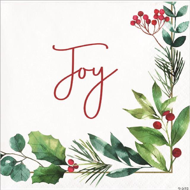 Rental store for JOY BEVERAGE NAPKIN - 16 CT in State College PA